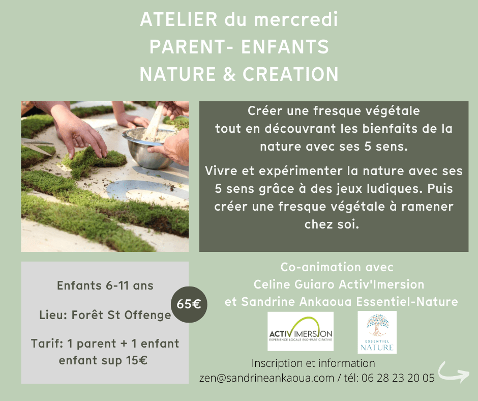 Nature et création Sophrologie Land Art