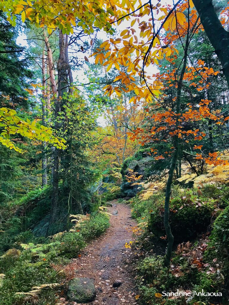 Connexion Nature