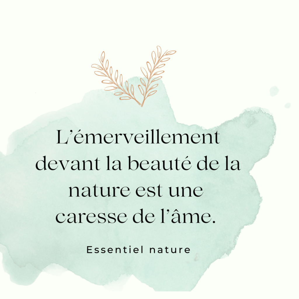 Message biomimetisme nature